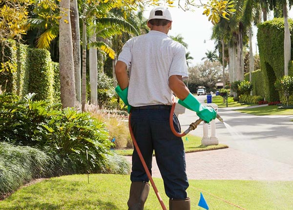 About Parris Island SC Pest Control Pros
